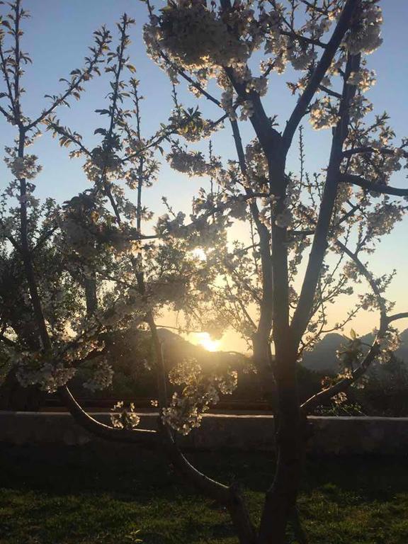 Apartman Nikocevic Dobrá Voda Exterior foto