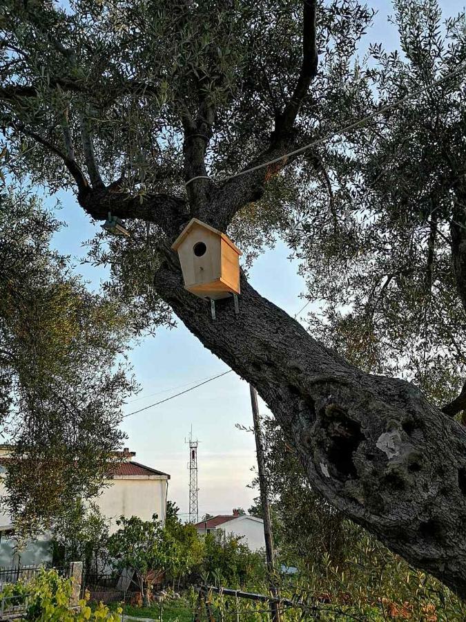 Apartman Nikocevic Dobrá Voda Exterior foto